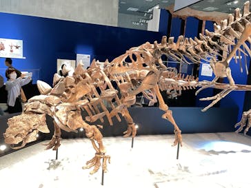 特別展「恐竜博2023」に投稿された画像（2023/5/19）