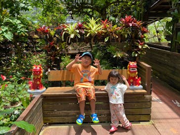 ナゴパイナップルパークに投稿された画像（2023/5/19）