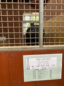 ノーザンホースパークに投稿された画像（2023/5/19）