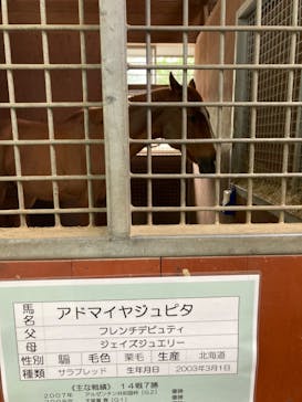 ノーザンホースパークに投稿された画像（2023/5/19）