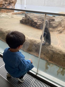 島根県立 しまね海洋館に投稿された画像（2023/5/19）