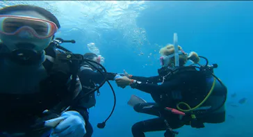 武藤潜水に投稿された画像（2023/5/19）