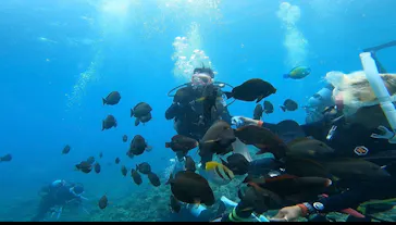 武藤潜水に投稿された画像（2023/5/19）