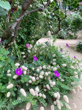 横浜イングリッシュガーデンに投稿された画像（2023/5/19）