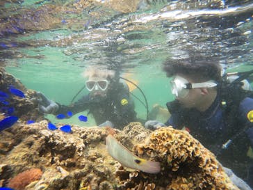 沖縄マリンサービス碧に投稿された画像（2023/5/19）