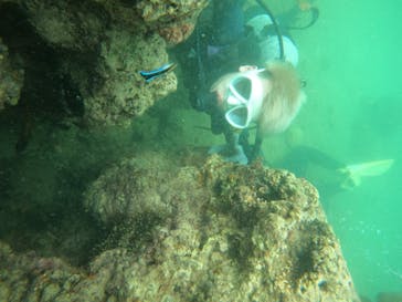 沖縄マリンサービス碧に投稿された画像（2023/5/19）