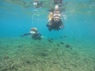 沖縄マリンサービス碧に投稿された画像（2023/5/19）