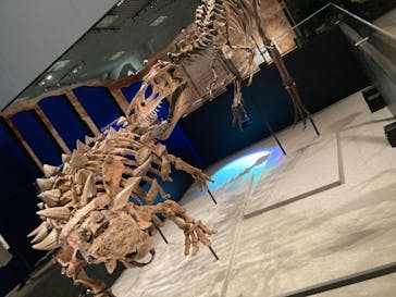 特別展「恐竜博2023」に投稿された画像（2023/5/19）
