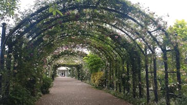 横浜イングリッシュガーデンに投稿された画像（2023/5/19）