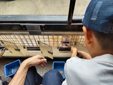 群馬サファリパークに投稿された画像（2023/5/19）