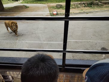 群馬サファリパークに投稿された画像（2023/5/19）