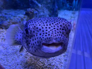 すみだ水族館に投稿された画像（2023/5/19）