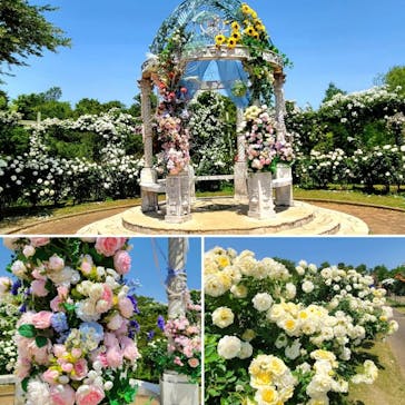 京成バラ園に投稿された画像（2023/5/19）