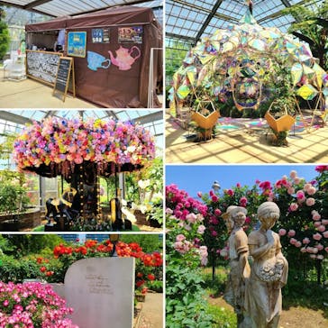 京成バラ園に投稿された画像（2023/5/19）