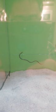 しながわ水族館に投稿された画像（2023/5/19）