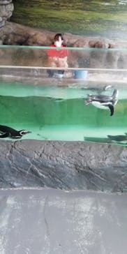 しながわ水族館に投稿された画像（2023/5/19）