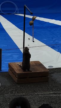 大分マリーンパレス水族館 「うみたまご」に投稿された画像（2023/5/19）