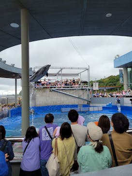 大分マリーンパレス水族館 「うみたまご」に投稿された画像（2023/5/19）