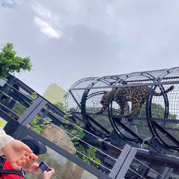 沖縄こどもの国に投稿された画像（2023/5/19）