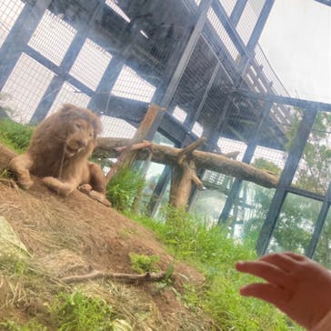 沖縄こどもの国に投稿された画像（2023/5/19）