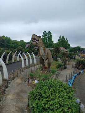 伊豆ぐらんぱる公園に投稿された画像（2023/5/19）