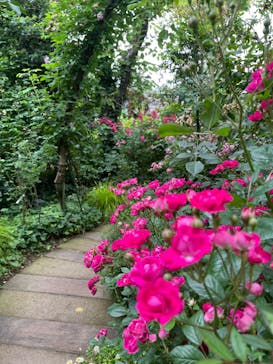 横浜イングリッシュガーデンに投稿された画像（2023/5/19）