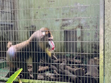 沖縄こどもの国に投稿された画像（2023/5/19）