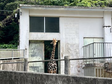 沖縄こどもの国に投稿された画像（2023/5/19）