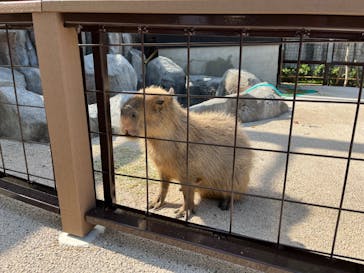 沖縄こどもの国に投稿された画像（2023/5/19）