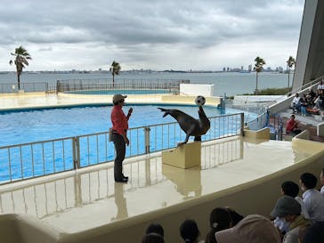 マリンワールド海の中道に投稿された画像（2023/5/19）
