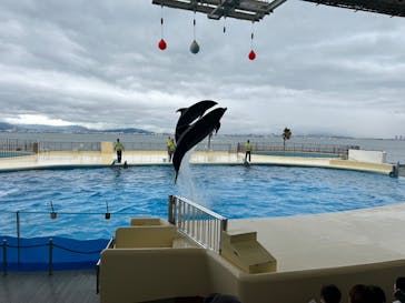 マリンワールド海の中道に投稿された画像（2023/5/19）