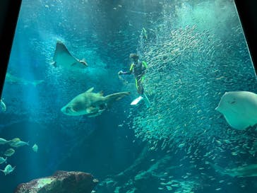 マリンワールド海の中道に投稿された画像（2023/5/19）