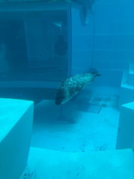 マリンワールド海の中道に投稿された画像（2023/5/19）