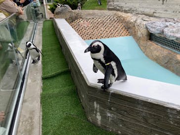 マリンワールド海の中道に投稿された画像（2023/5/19）