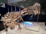 特別展「恐竜博2023」に投稿された画像（2023/5/20）