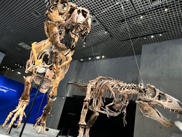 特別展「恐竜博2023」に投稿された画像（2023/5/19）