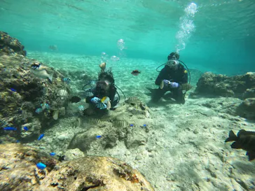 武藤潜水に投稿された画像（2023/5/20）