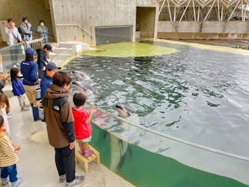 城崎マリンワールドに投稿された画像（2023/5/20）