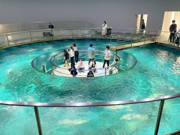 城崎マリンワールドに投稿された画像（2023/5/20）