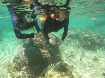 沖縄マリンサービス碧に投稿された画像（2023/5/20）