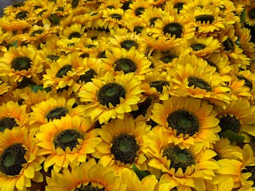 ゴッホ・アライブ神戸に投稿された画像（2023/5/20）