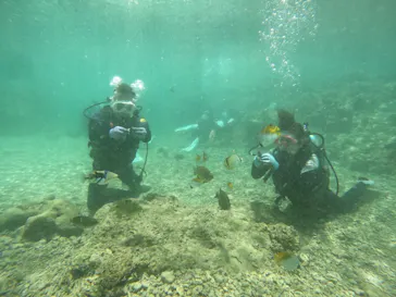 武藤潜水に投稿された画像（2023/5/20）