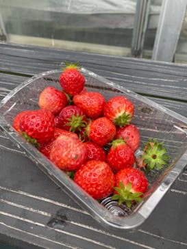 淡路ファームパーク イングランドの丘に投稿された画像（2023/5/20）