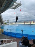マリンワールド海の中道に投稿された画像（2023/5/20）
