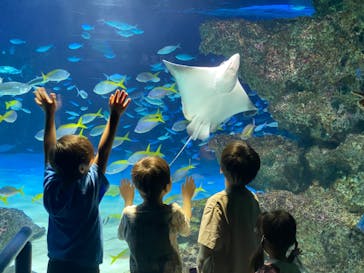 サンシャイン水族館に投稿された画像（2023/5/20）