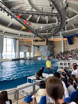 アクアワールド茨城県大洗水族館に投稿された画像（2023/5/20）