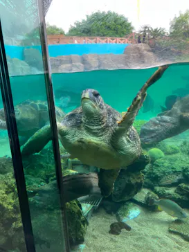 横浜・八景島シーパラダイスに投稿された画像（2023/5/20）