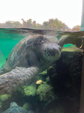 横浜・八景島シーパラダイスに投稿された画像（2023/5/20）