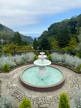 ACAO FORESTに投稿された画像（2023/5/20）