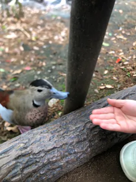 神戸どうぶつ王国に投稿された画像（2023/5/20）
